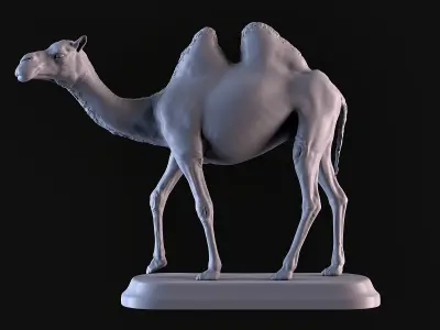 Camel 3D print model