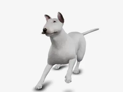 dog bull terrier Low-poly 3D model
