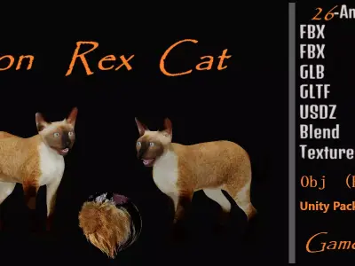 Devon Rex Cat Low-poly 3D model