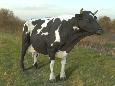 Dairy Cow PBR Low-poly 3D model