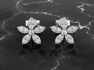 Jewelry Earring 3D print model