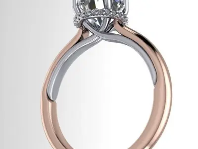 Modern Hidden halo Engagement Promise Wedding Ring 3D print model