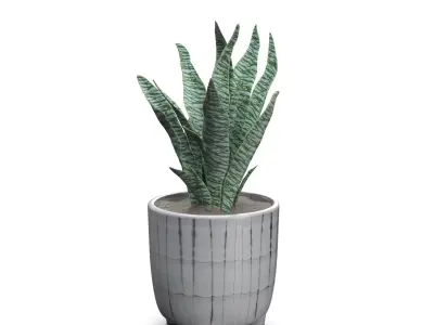 Terracotta Footed Planter with Artificial Plant  PBR 3D model