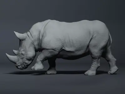 Realistic Rhinoceros High-poly  3D model