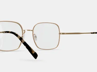 Aniyah Eyeglasses in Polished Gold 3D model