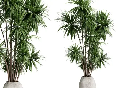 palm branch in a concrete pot - set indoor plant 619  3D model