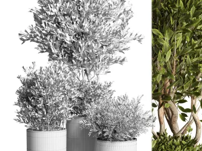 Outdoor plant 09  Low-poly 3D model