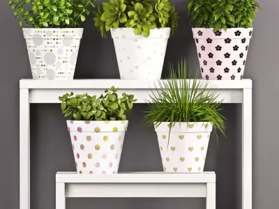 Decorative plant set-63 3D model