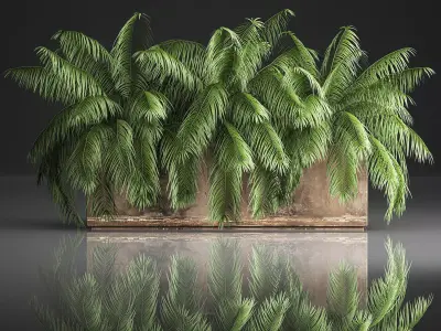 Palm bushes in a pot for the interior 952 3D model