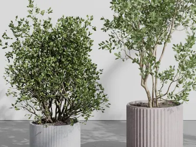 A Collection Trees in a concrete dirty vase - indoor plant 395 Low-poly 3D model