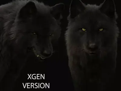 Black Wolf RIGGED XGEN igs 3D model