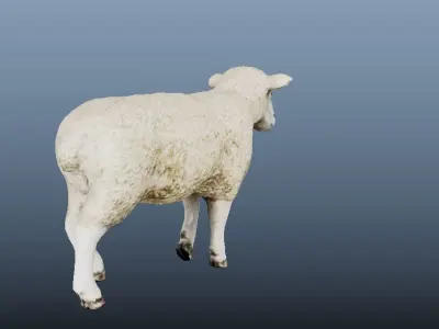 Sheep Animated VFX Grace Low-poly 3D model