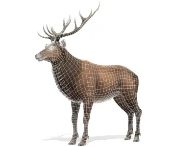 Red Deer stag  Low-poly 3D model