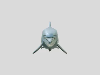 Realistic Dolphin 3D Model with Detailed PBR Textures Low-poly 3D model