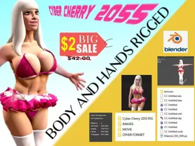 Cyber Cherry Rigged 3D Cyber Girl  3D model