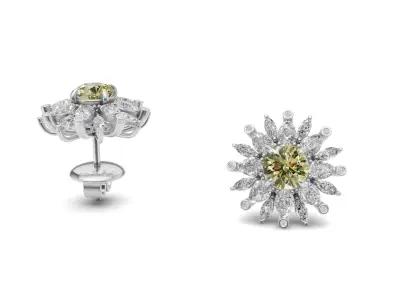 Cluster Pointer Diamond Studs for Women with Fancy Diamond 3D print model