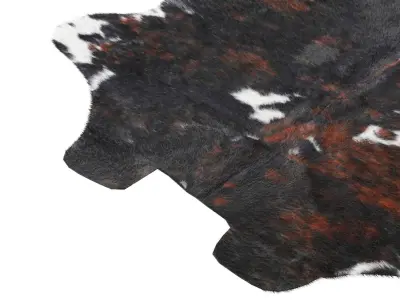 Tricolor Cowhide Rug A27079 3D model