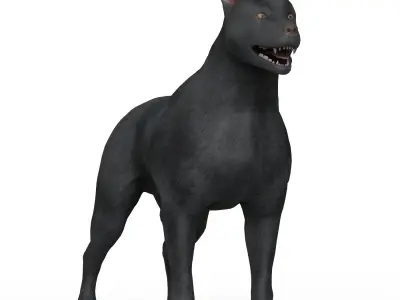 Black Dog Low-poly 3D model