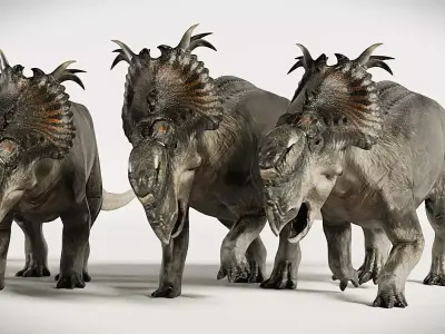 Pachyrhinosaurus Realistic 3d model 3D model
