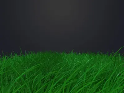 Realistic Field Grass Free low-poly 3D model