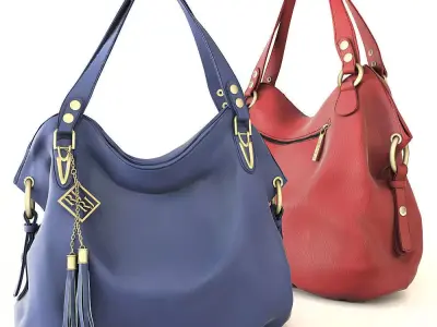 Petite Jolie Luxurious Bag 3D model