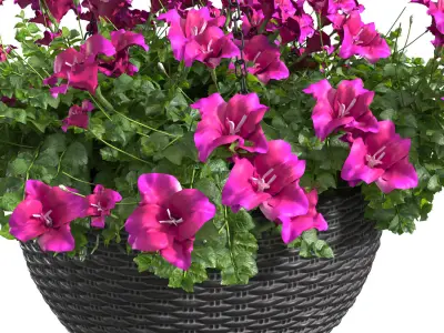 Hanging basket flowerpot rattan pot with flowers 3D model order