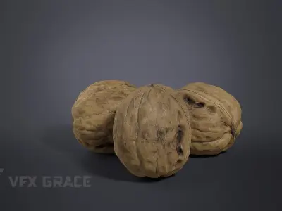 Walnut 003 3D model