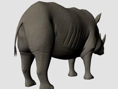 Rigged-Animated Rhino 3D model