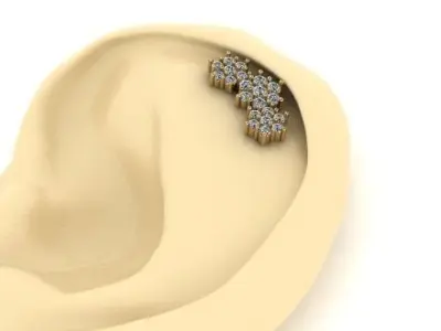 604 Ear decoration 3D print model