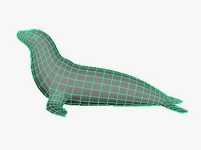Low Poly Sea Lion Low-poly 3D model