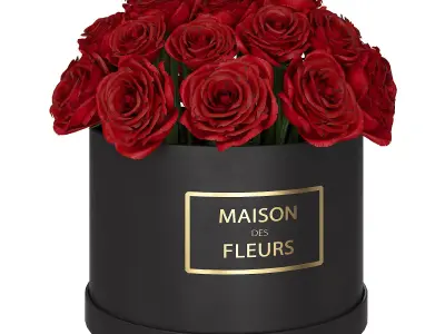 Red roses in box  3D model