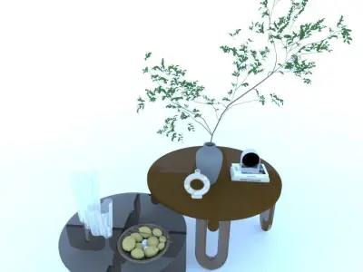 table coffee with plant 3D model