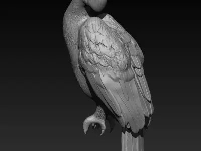 Hornbill 3D print model