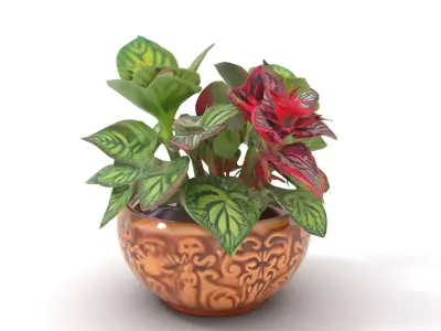 Decorative Potted Plant model pack Low-poly 3D model