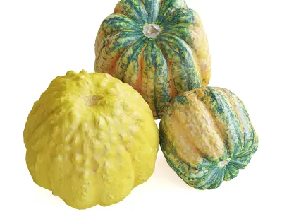 Decorative Pumpkins 3D model