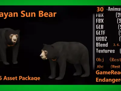 Malayan Sun Bear Low-poly 3D model