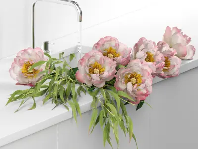 Peonies in sink 3D model