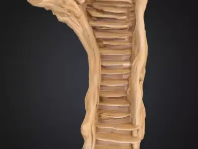 carved driftwood staircase 3D print model