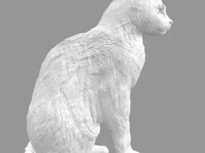 Cat for 3d printing 3D print model 3D model