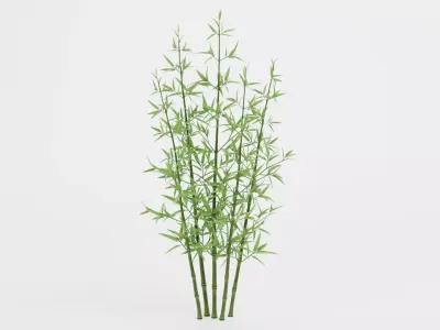 Bamboo Cluster Low-poly 3D model