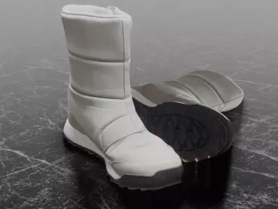 ADIDAS TERREX 3D WINTER BOOTS Low-poly 3D model