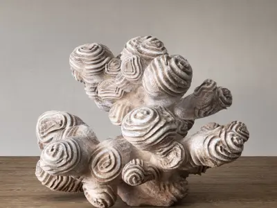 Author sculpture coral 3D model