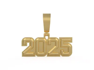 Model 1169 Number 2025 Necklace Curved With Border 3D print model