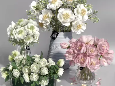 Realistic Natural Fresh Peonies in Different Vases 3D model
