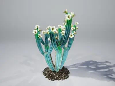 Cactus collection with flowers 3D model
