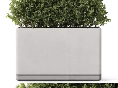 Plants collection vol 41