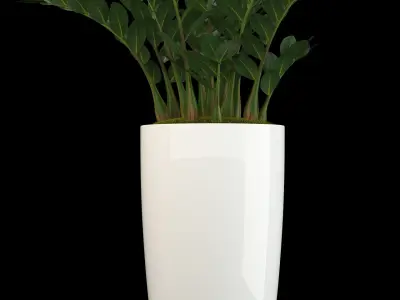 Plants collection 56 3D model