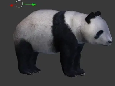 Panda Bear 3D model buy