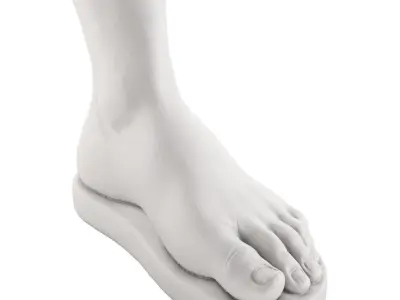 Plaster figure of the foot of Hercules 3D model