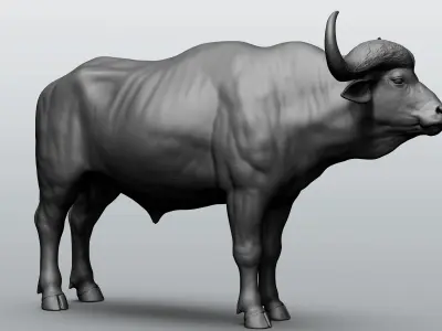 Wild animal collection - 10 animals VOL-3 3D model